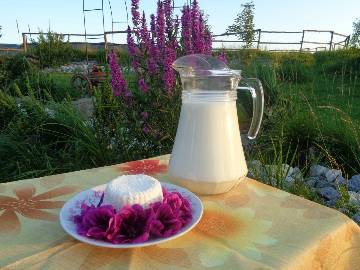 Farma Kozi Dvor Rohozna Lägenhet Brezno Exteriör bild